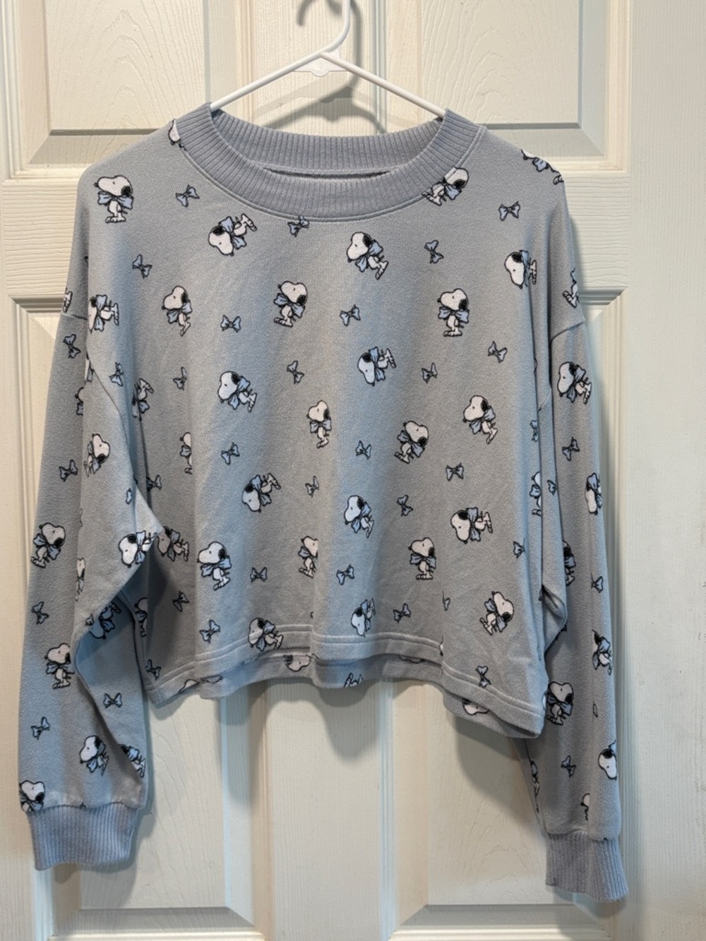 American Eagle Outfitters Light Blue Snoopy Cropped Sweatshirt